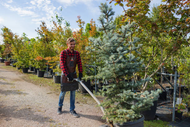 Best Lawn Watering Services  in Park City, IL